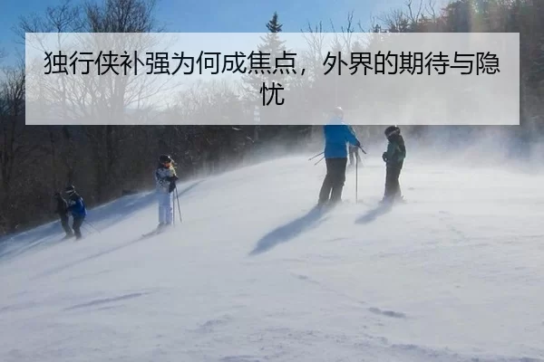 独行侠补强为何成焦点，外界的期待与隐忧